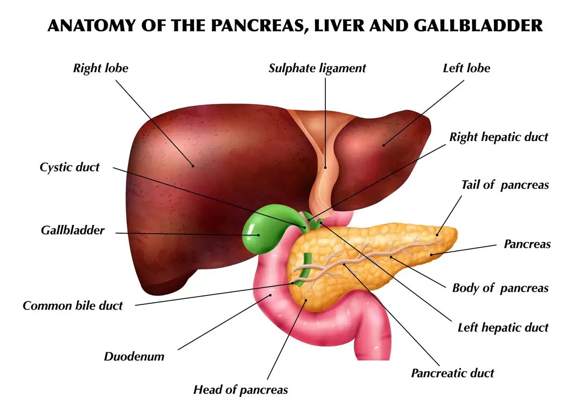 gallbladder stone treatment